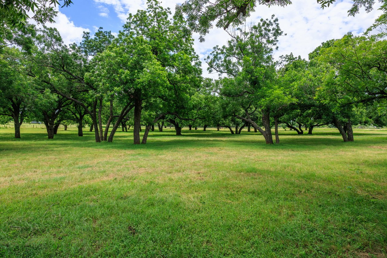 Live Oak Creek Ranch 
