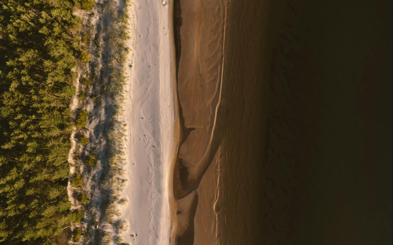 The Top Attractions in 30A Florida for Locals or Tourists