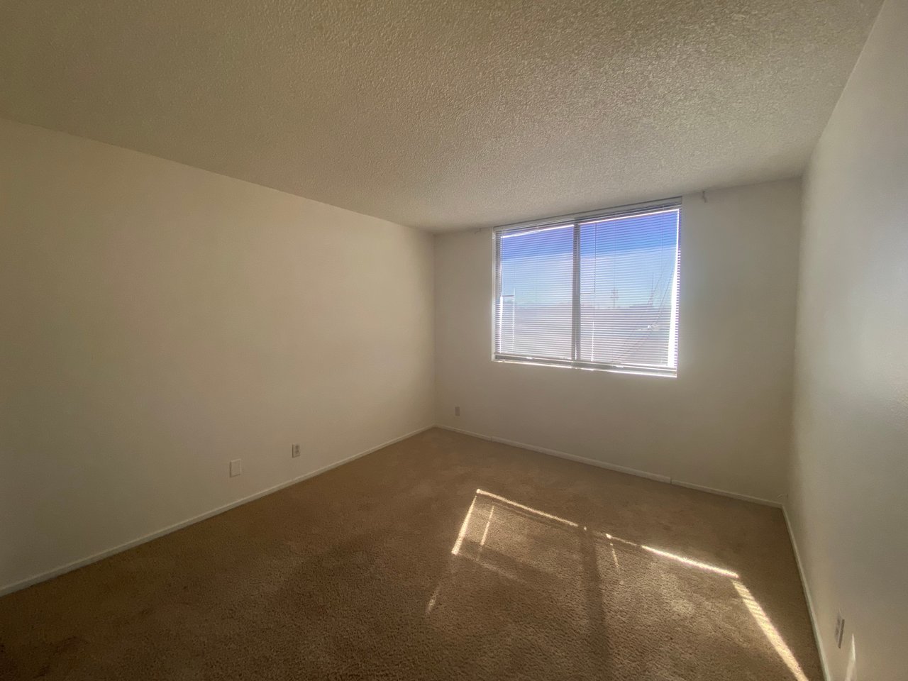 3930 University Center Drive #204