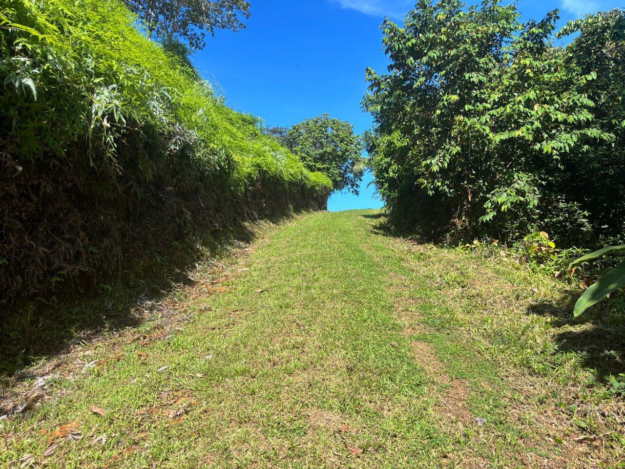 Two Large Building Sites with Stunning Sunset Ocean View. Ready to Build!