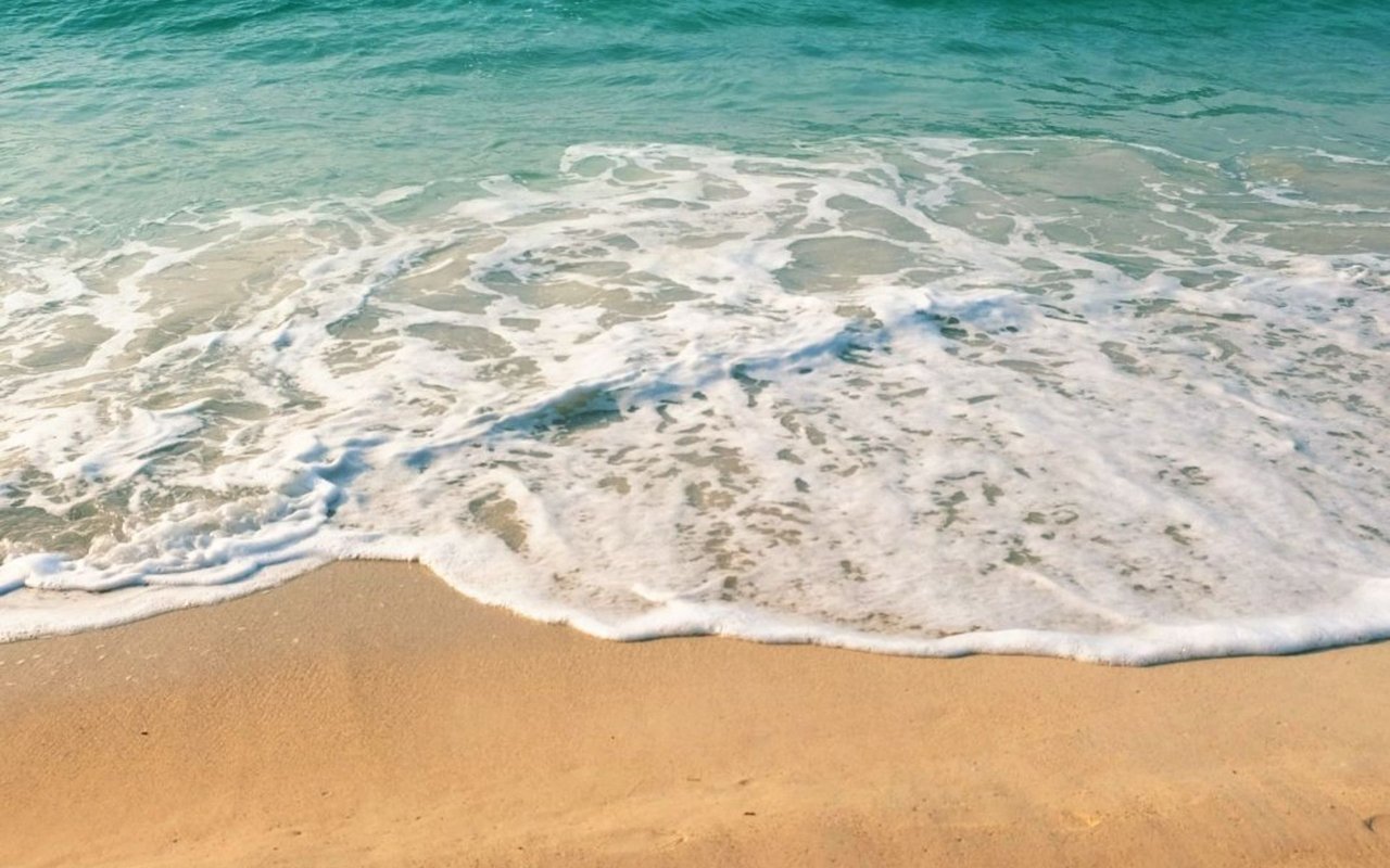 Labor Day Beach Guide