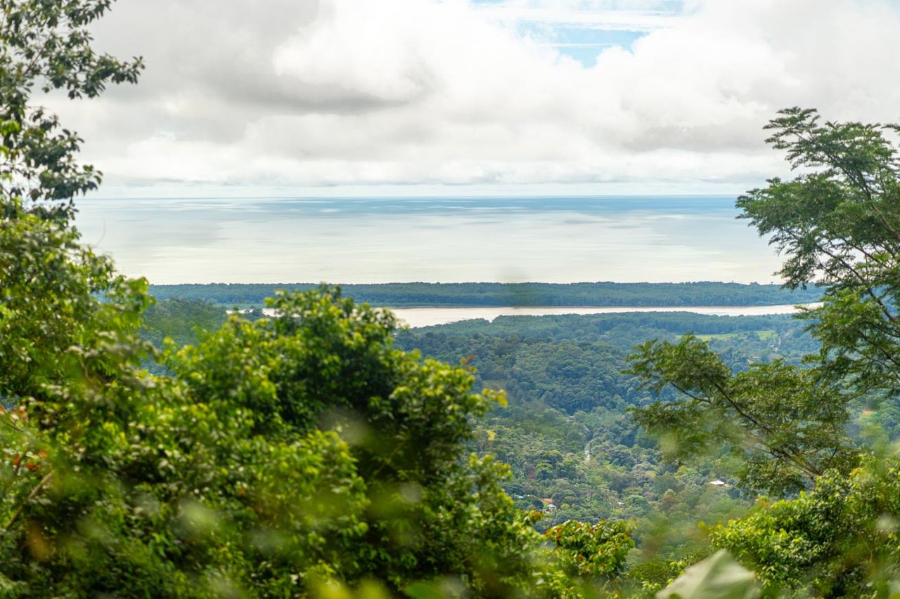 Ocean, jungle & mountain views on a meticulously landscaped 3-home family compound