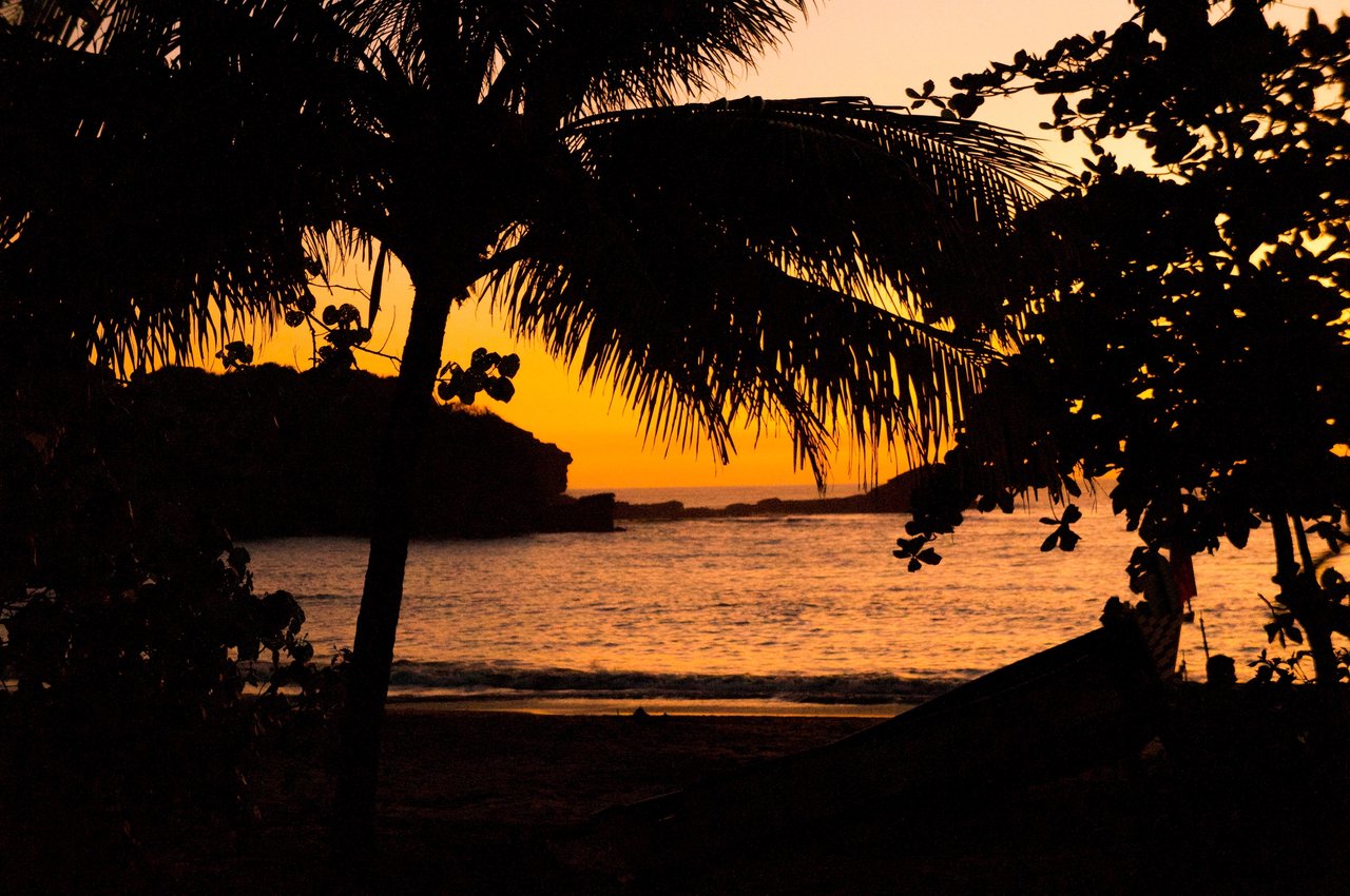 Sunset over a tropical beach, framed by silhouetted palm trees and foliage.