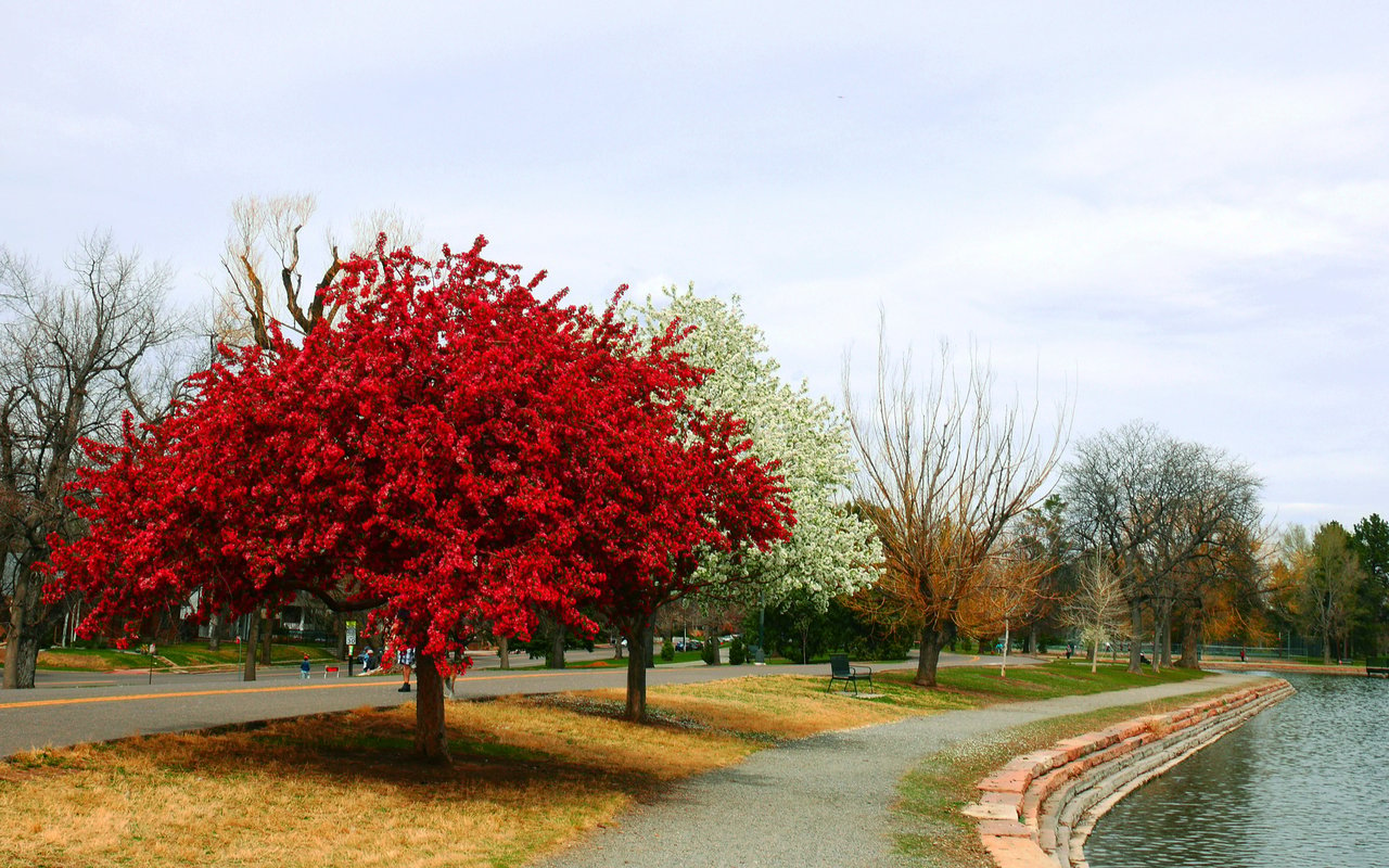 Washington Park