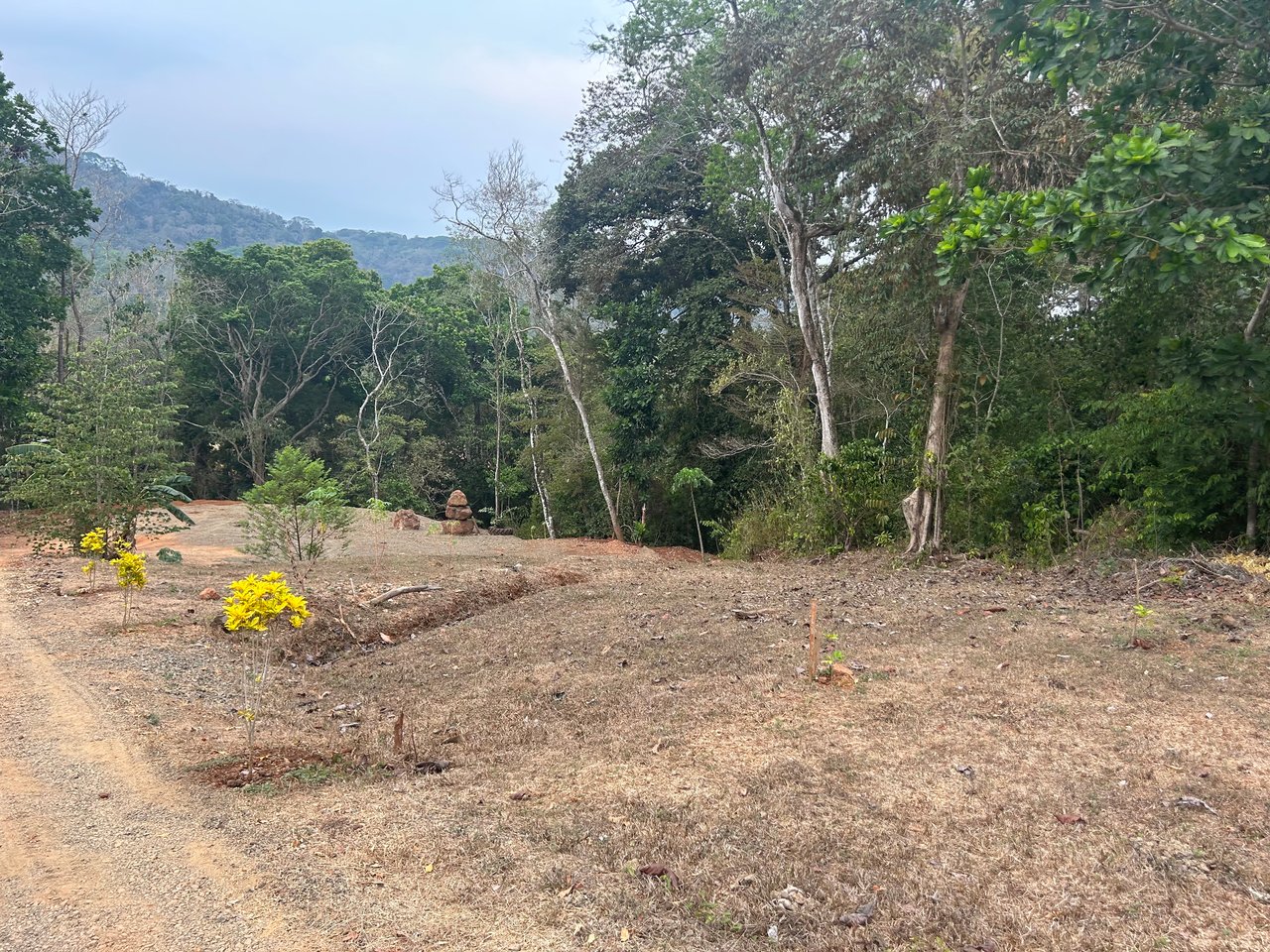 0.59 acre Lot El Carmen / El Carmen , Zapotal, Nandayure, Guanacaste