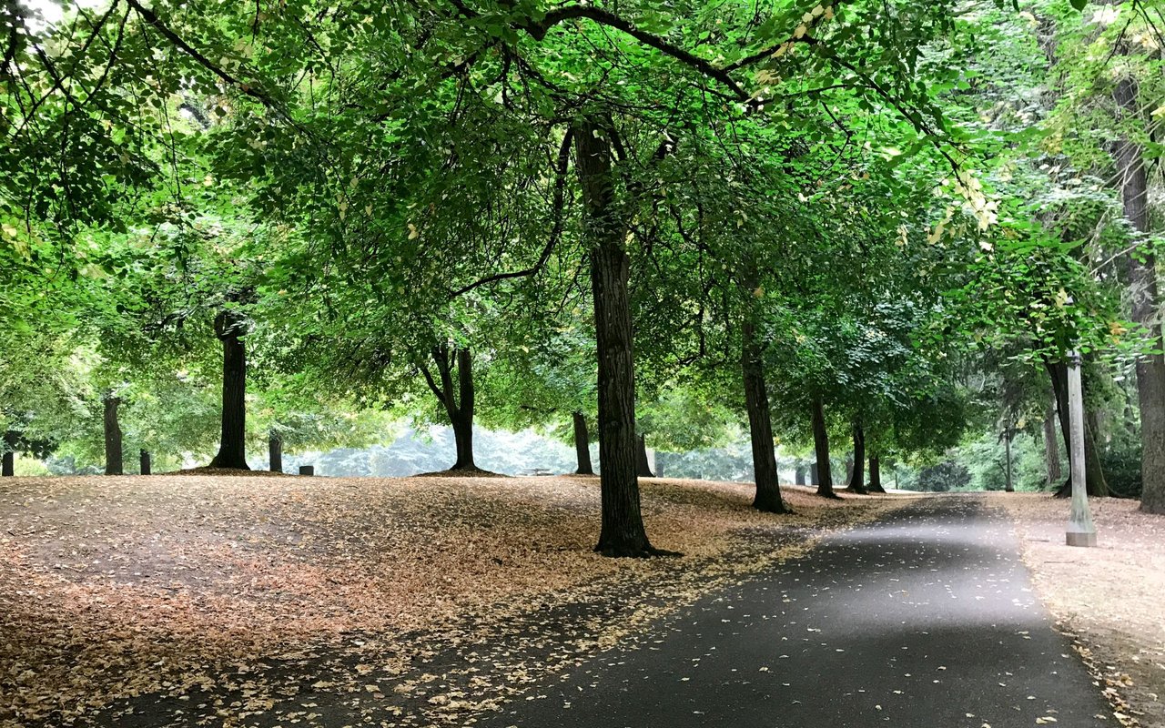 Laurelhurst