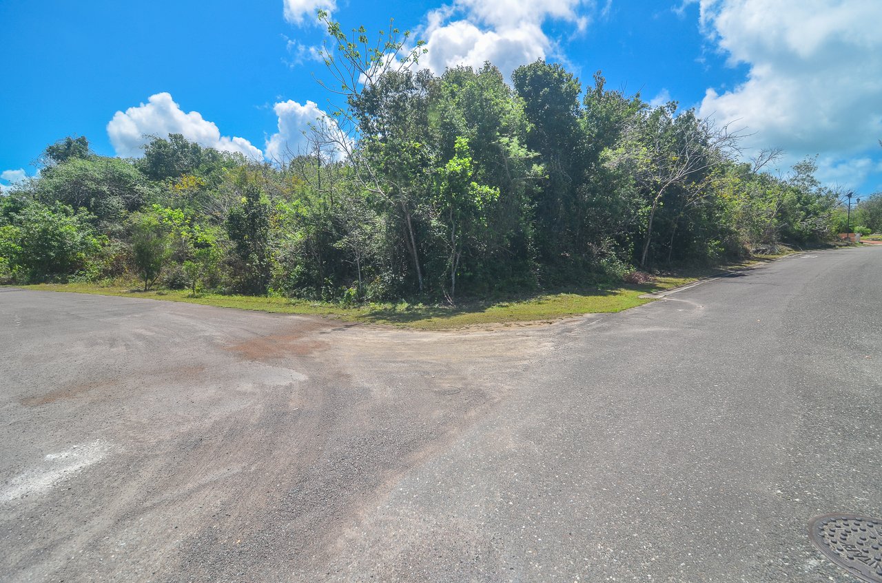Lot #69 Lyford Hills