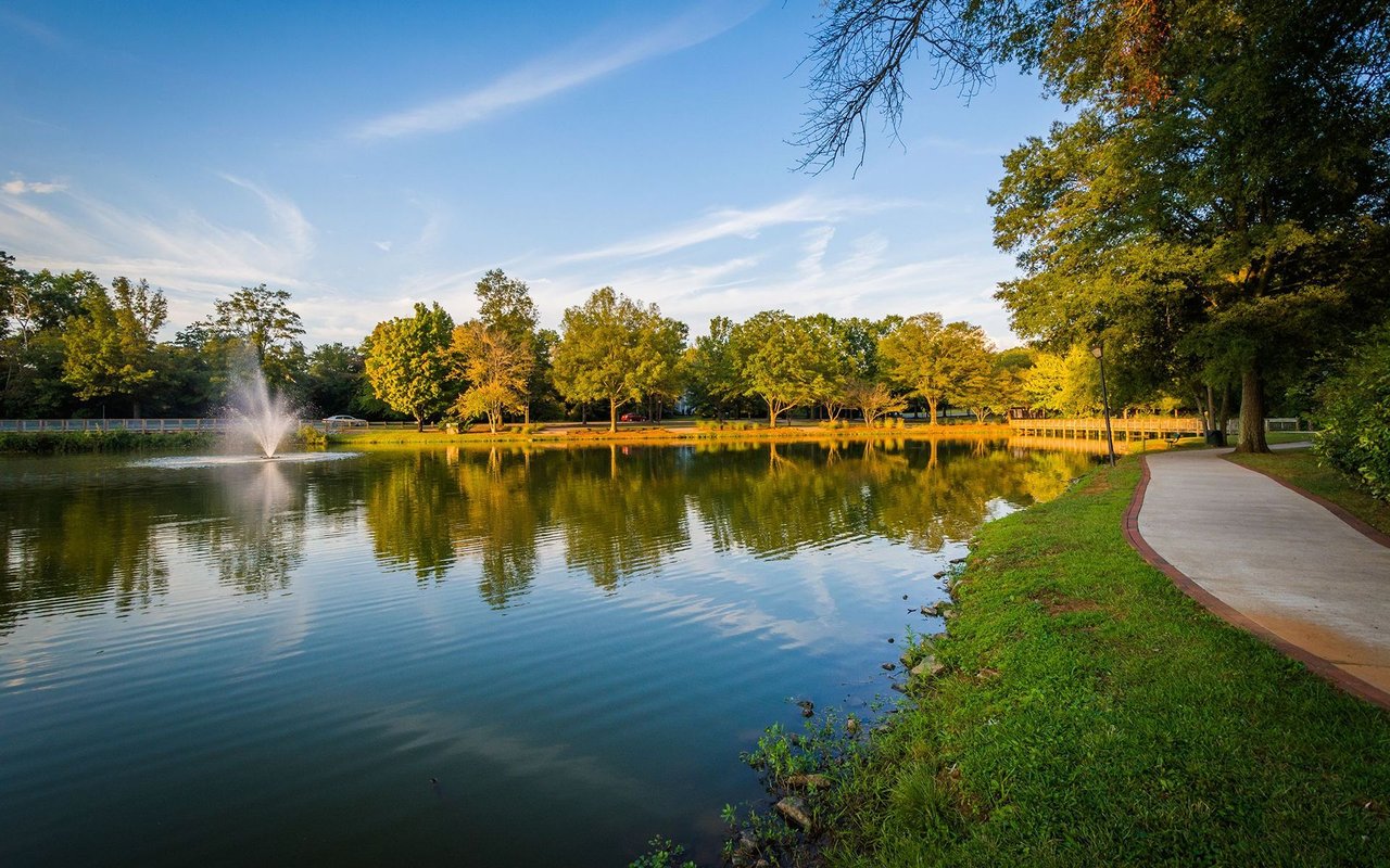 Davidson Pond