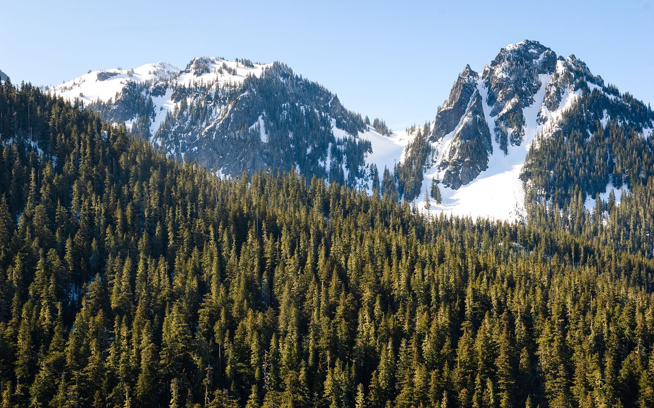 Glacier
