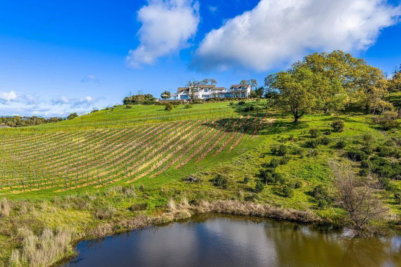 The Clearview Estate