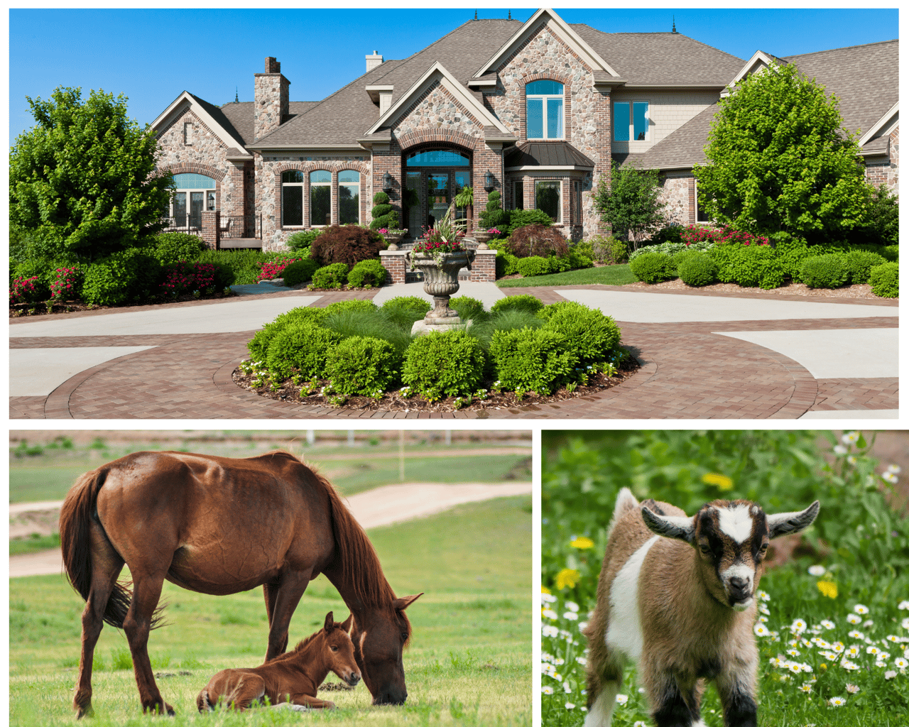 From Cabins to Tennessee Farms