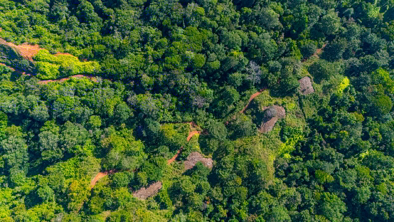 67 acres development (15 titled lots) with breathtaking views in Sierpe