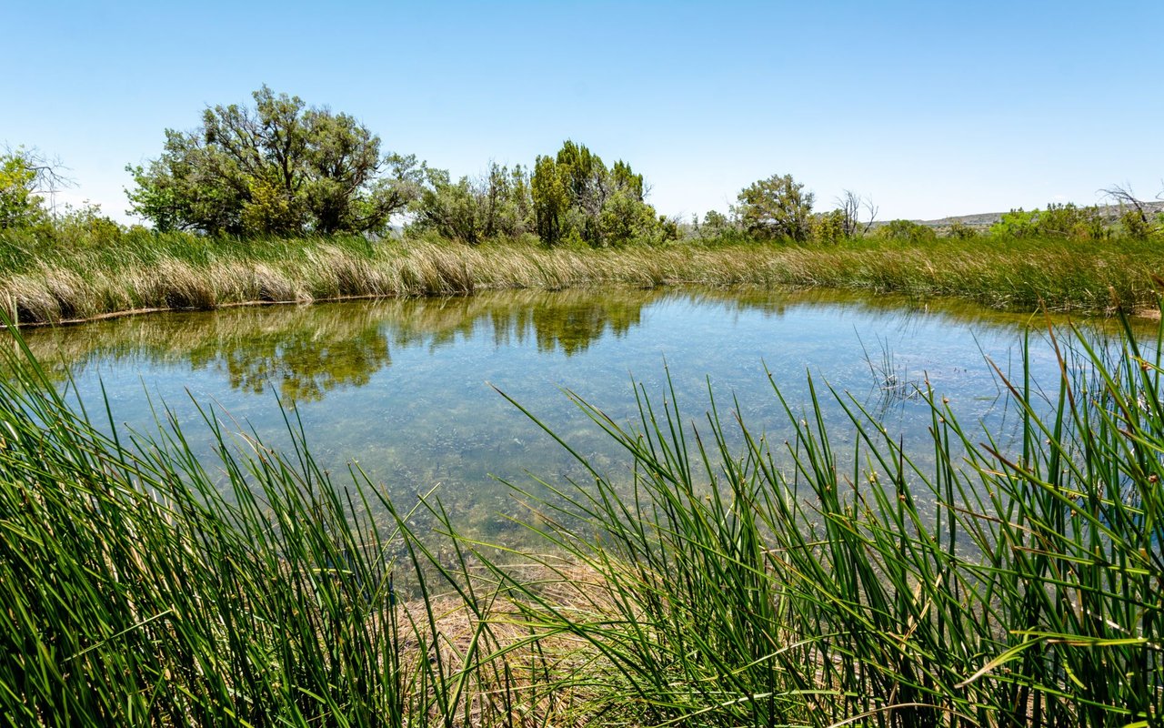 Fossil Lake Ranch