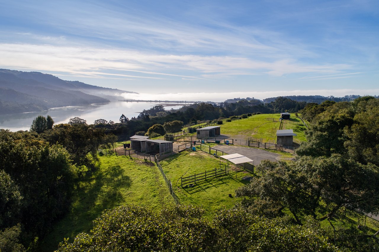 Annie Leibovitz Sells 65-acre Marin County Farm for $8.5M