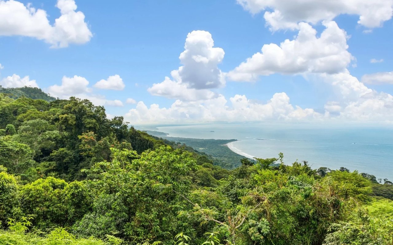 Costa Verde Estates
