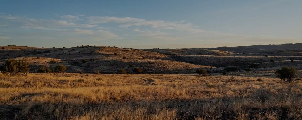 Rolling hills and golden grassland in warm late-day light.