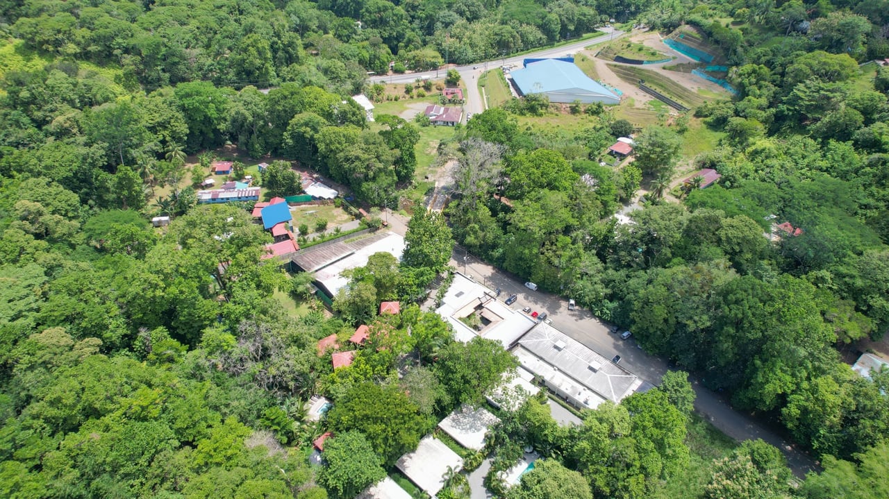 Juice Bar for Sale in Ojochal, Costa Rica | Turnkey Business Opportunity