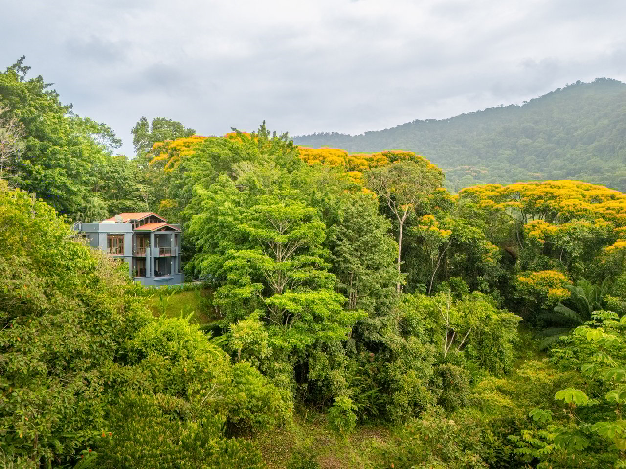 VILLA TURQUESA – MAJESTIC OASIS, CLOSE TO THE BEACH AND WILDLIFE – 1.92 ACRES