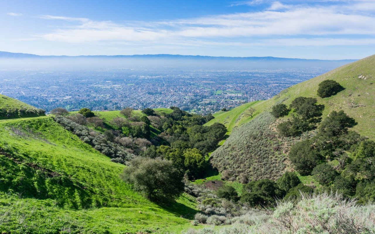 Cityscape viewed from green hills, with a wooded ravine in the foreground and distant mountains.