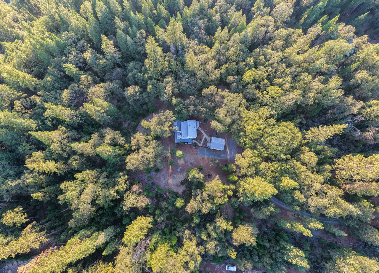 Aerial view of a house and detached outbuilding surrounded by dense woodland.