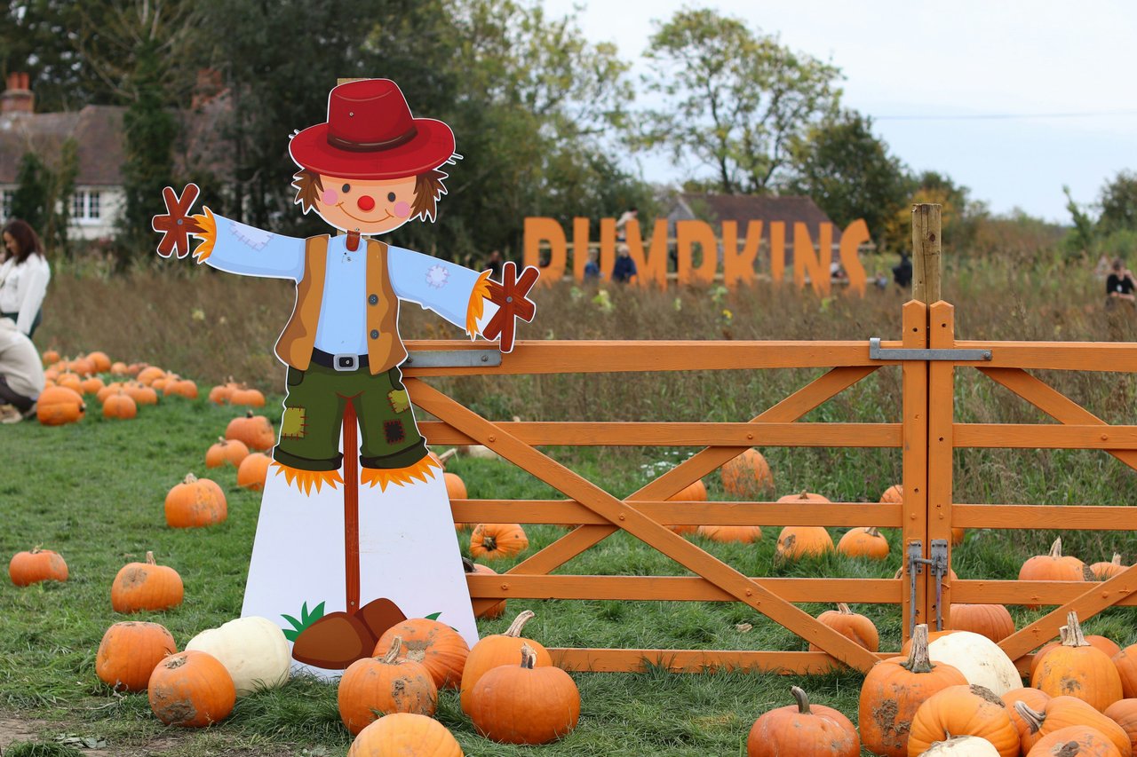 Pumpkin patch with a scarecrow cutout, orange fence, and large PUMPKINS sign.