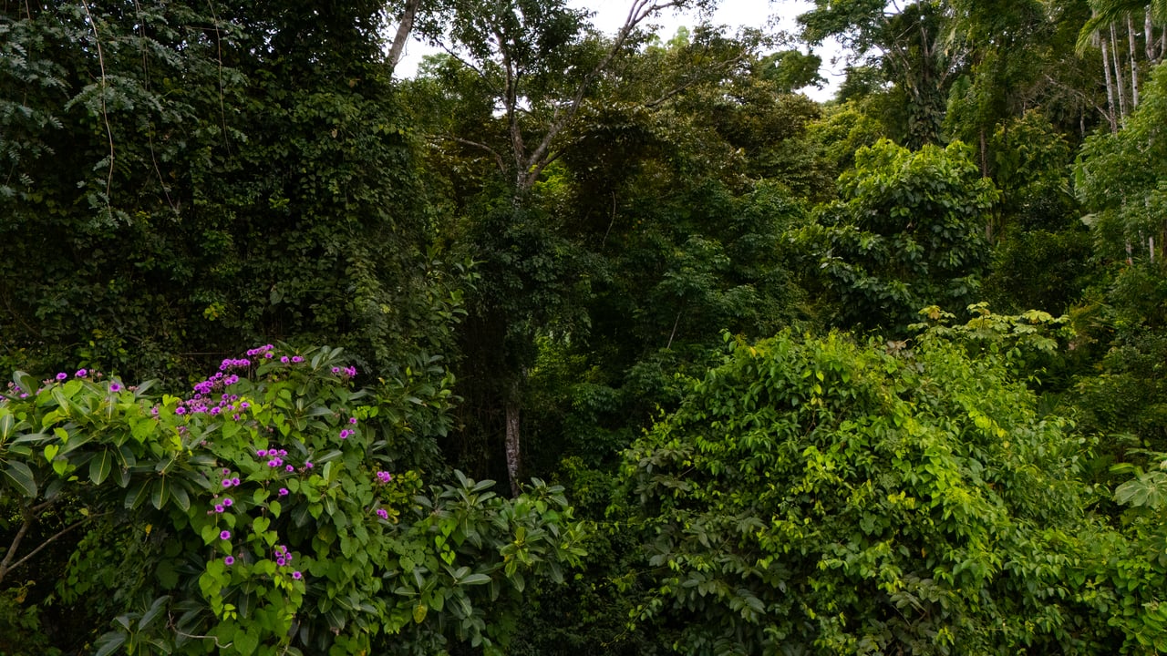 Where the Journey Begins | Private Jungle Estate at Nauyaca Waterfalls