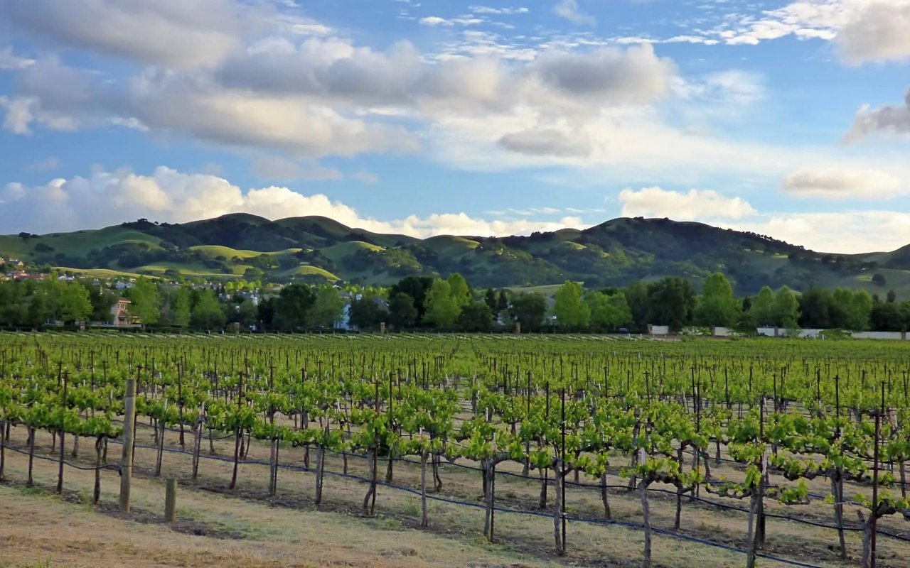 Livermore