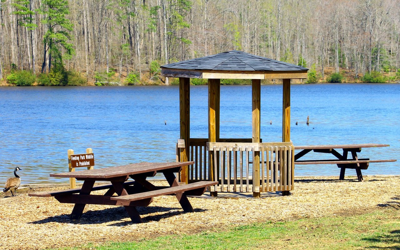 Beaverdam