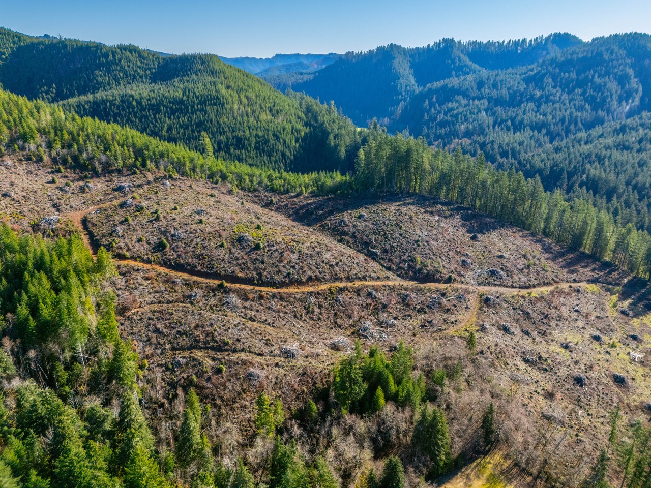 RICHARDSON TIMBER