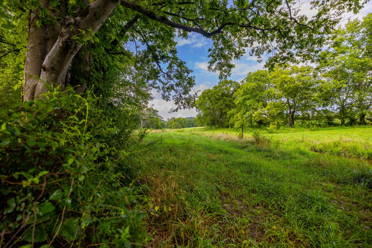 Beasley Farms