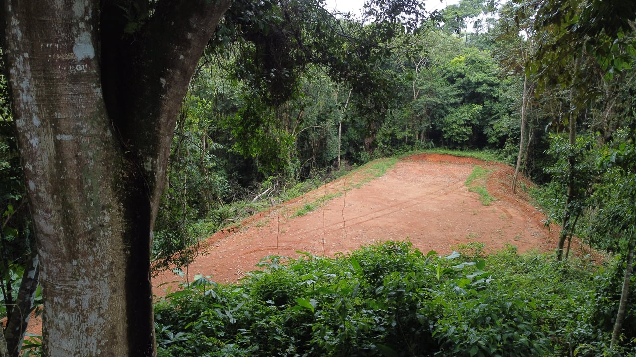 Jungle Oasis with River Frontage Near Dominical – 5.2 Acres of Pure Nature