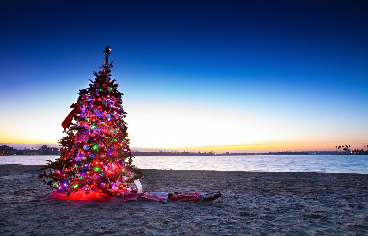 10 Enchanting San Diego Christmas Dates for Couples!