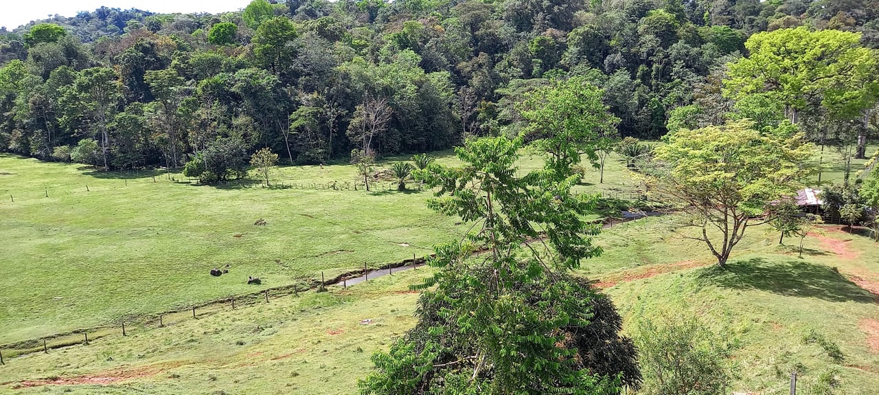 Osa Peninsula Magic 