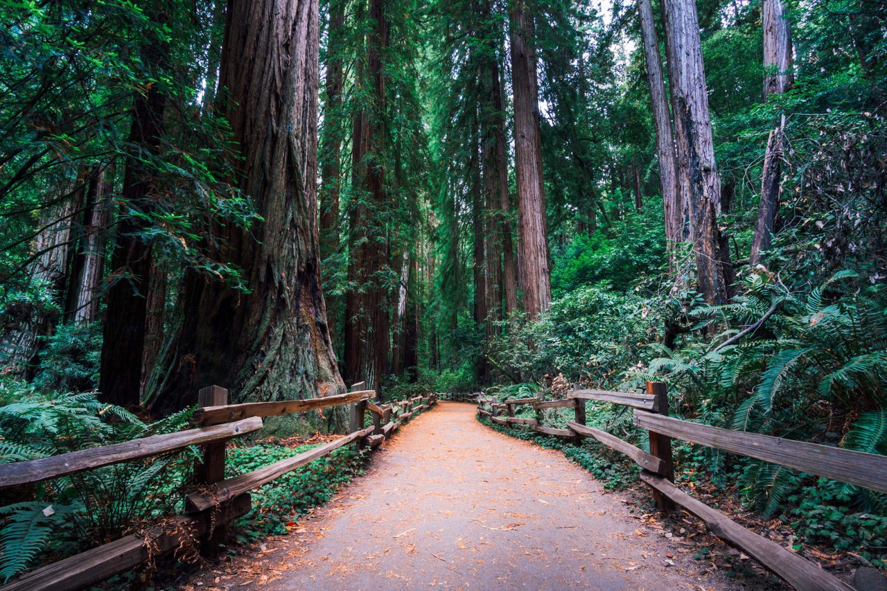 Mill Valley