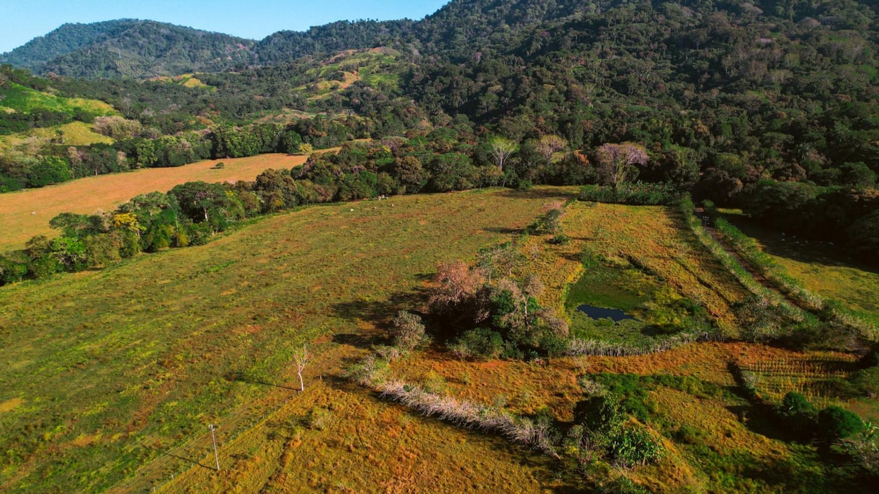 Highway Frontage Commercial Land, Manuel Antonio, Puntarenas