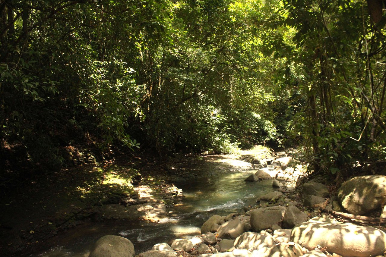 Wildlife Reserve Farm close to Ojochal