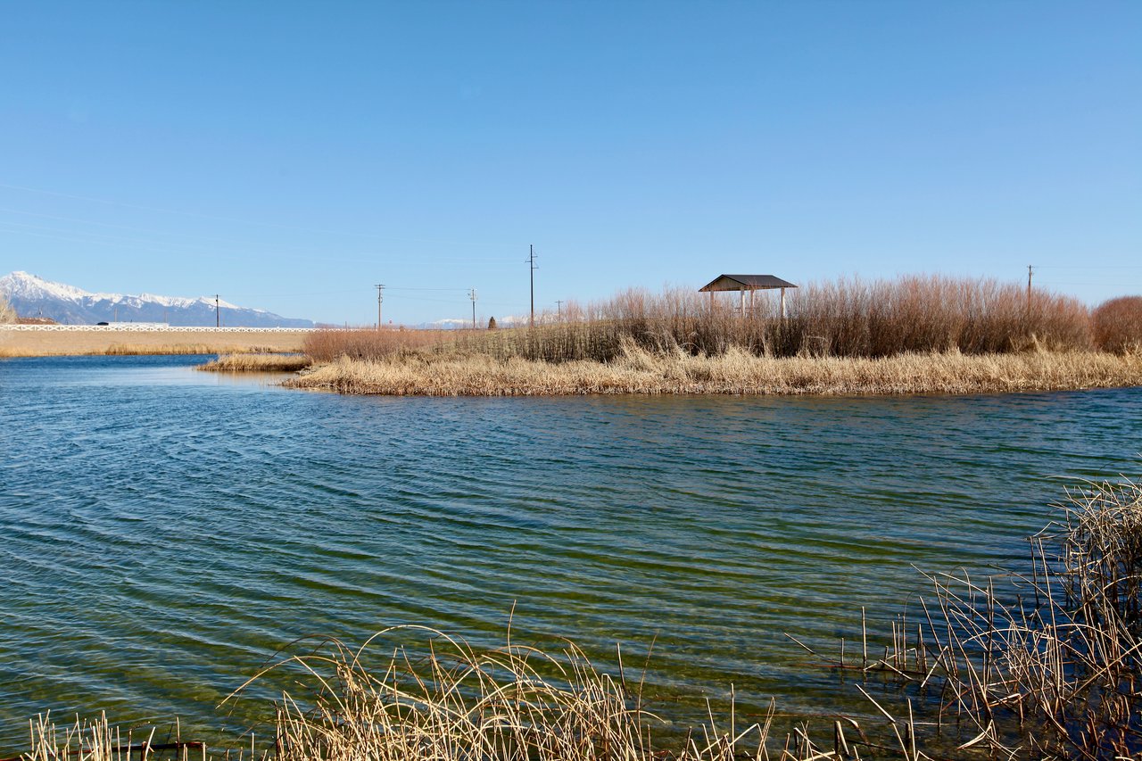Woodard Avenue Homesite