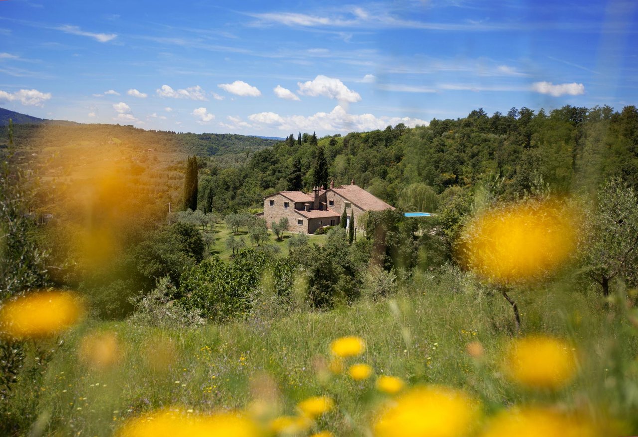 AZIENDA AGRICOLA ARGO