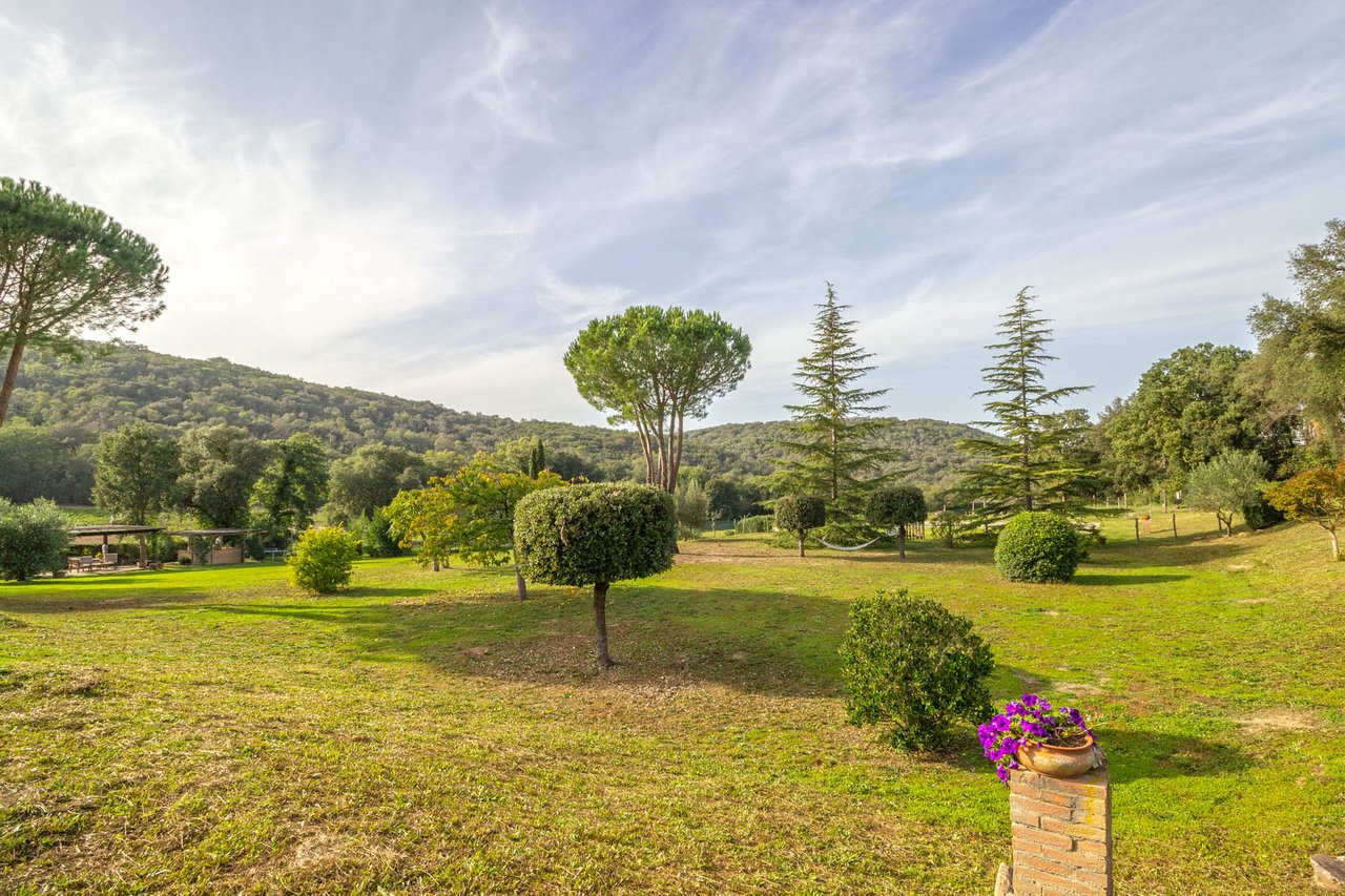 Organic Agriturismo in Roccastrada