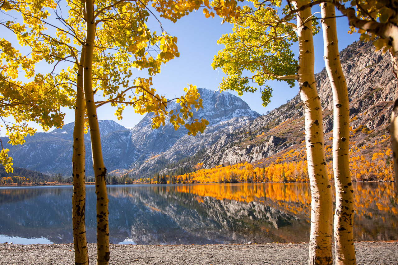 Mountain lake reflecting rugged peaks, framed by golden autumn aspens.