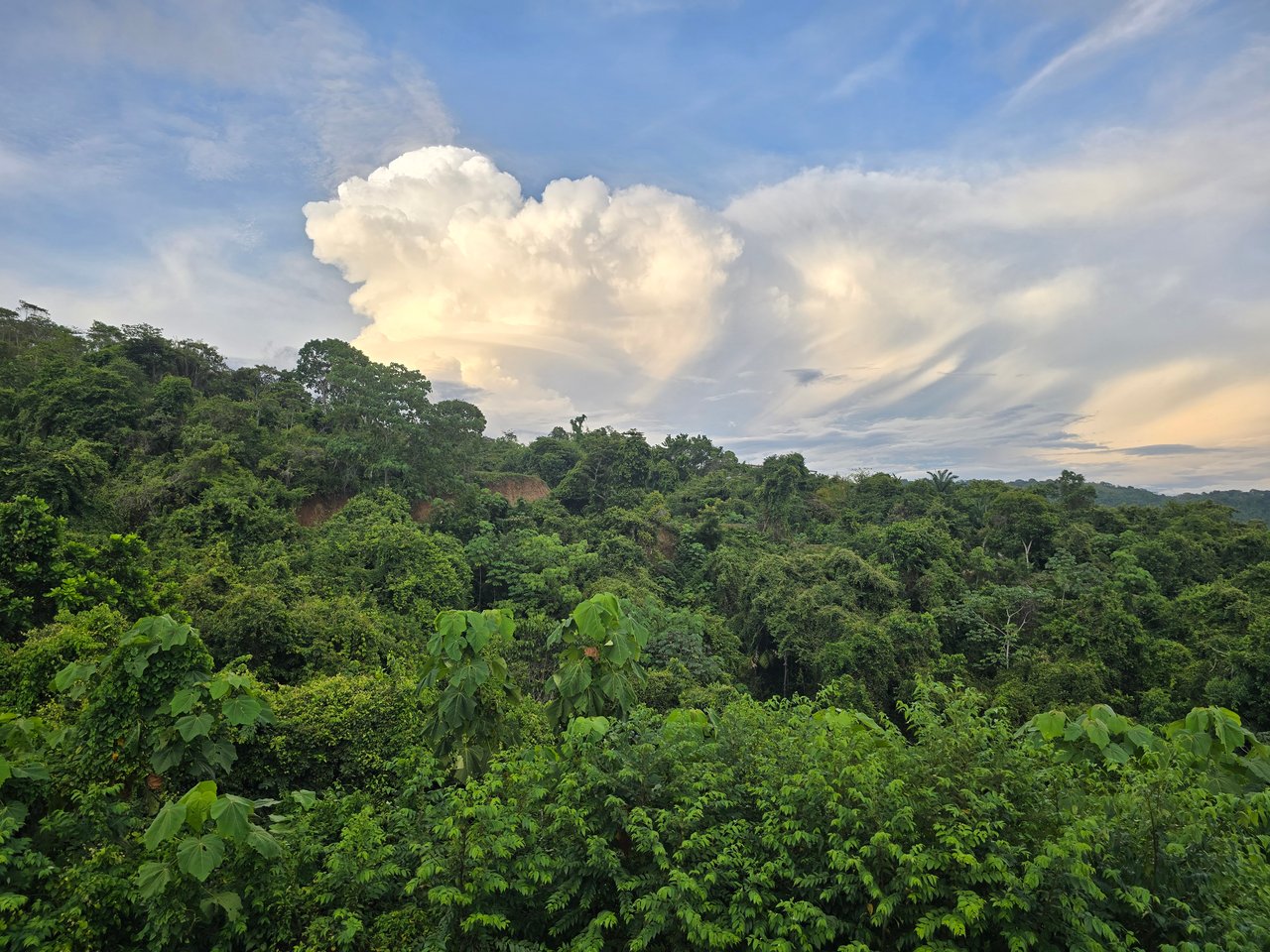 Hermosa Falls Estates Luxury Development