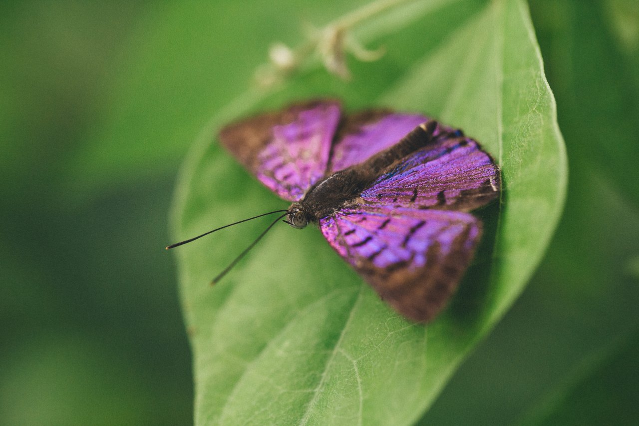  Punta Sabana & Mar Serena