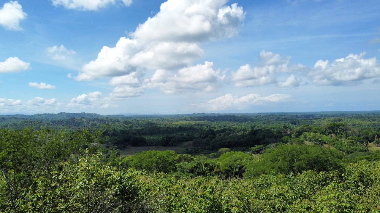 7-Hectare Farm with Teak Plantation, Existing Home & Eco-Development Potential Near Parrita, Costa Rica