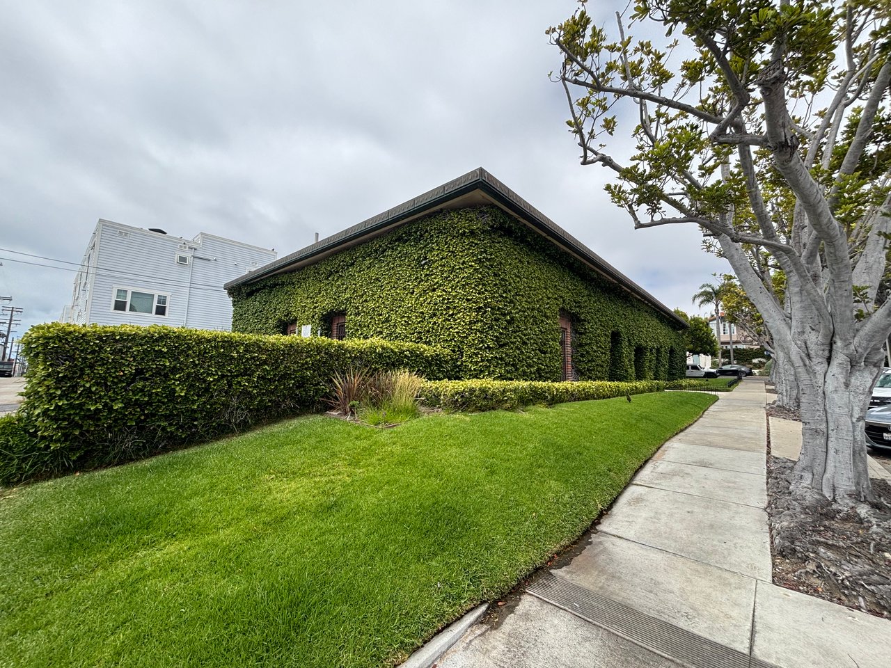 Kinsella Library