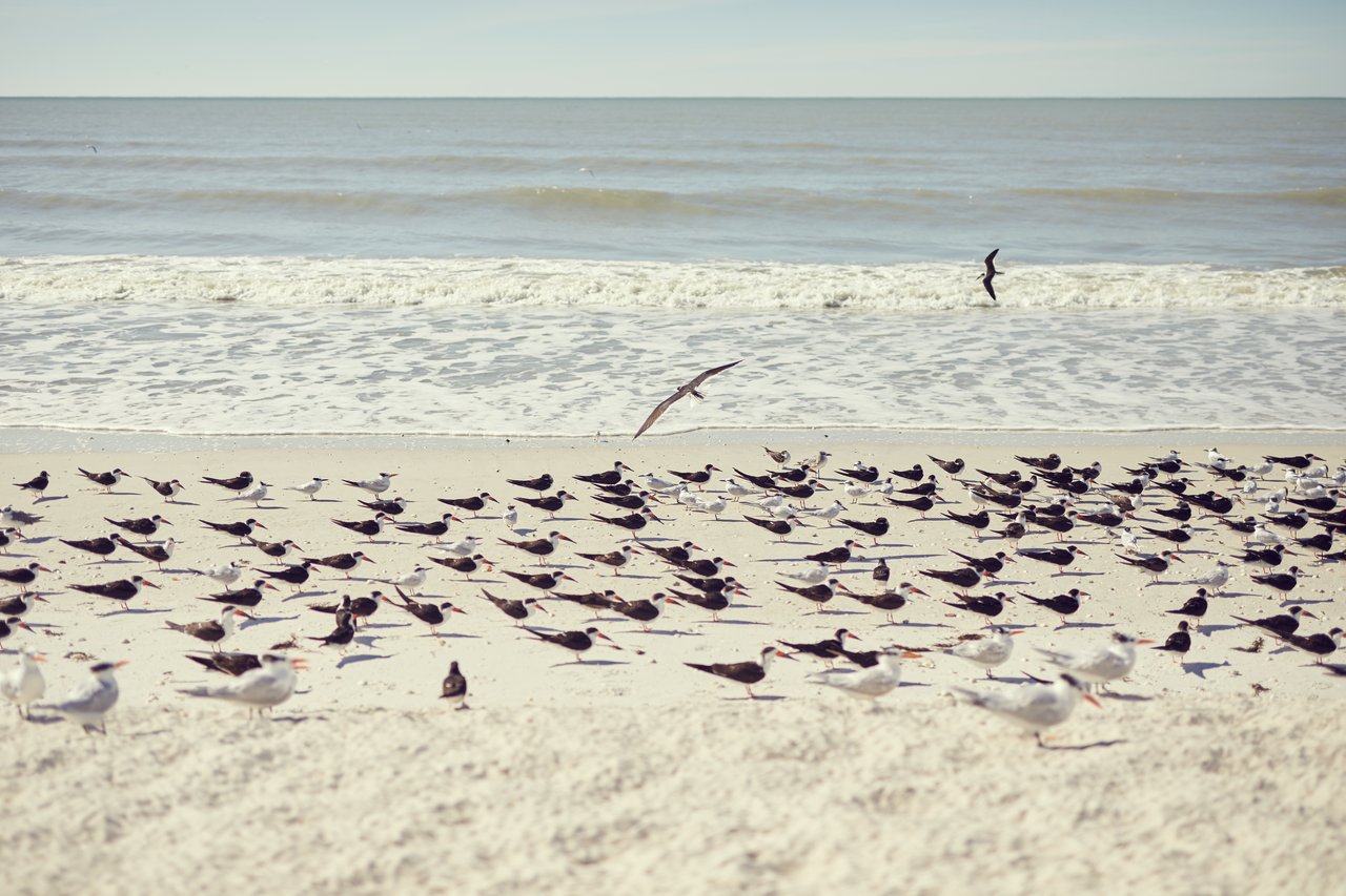Beach-proximate
