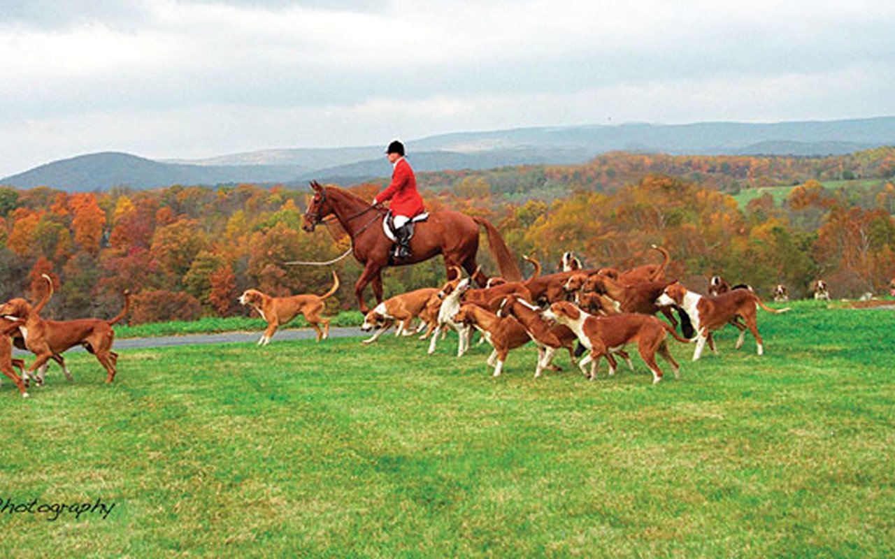 Fauquier County