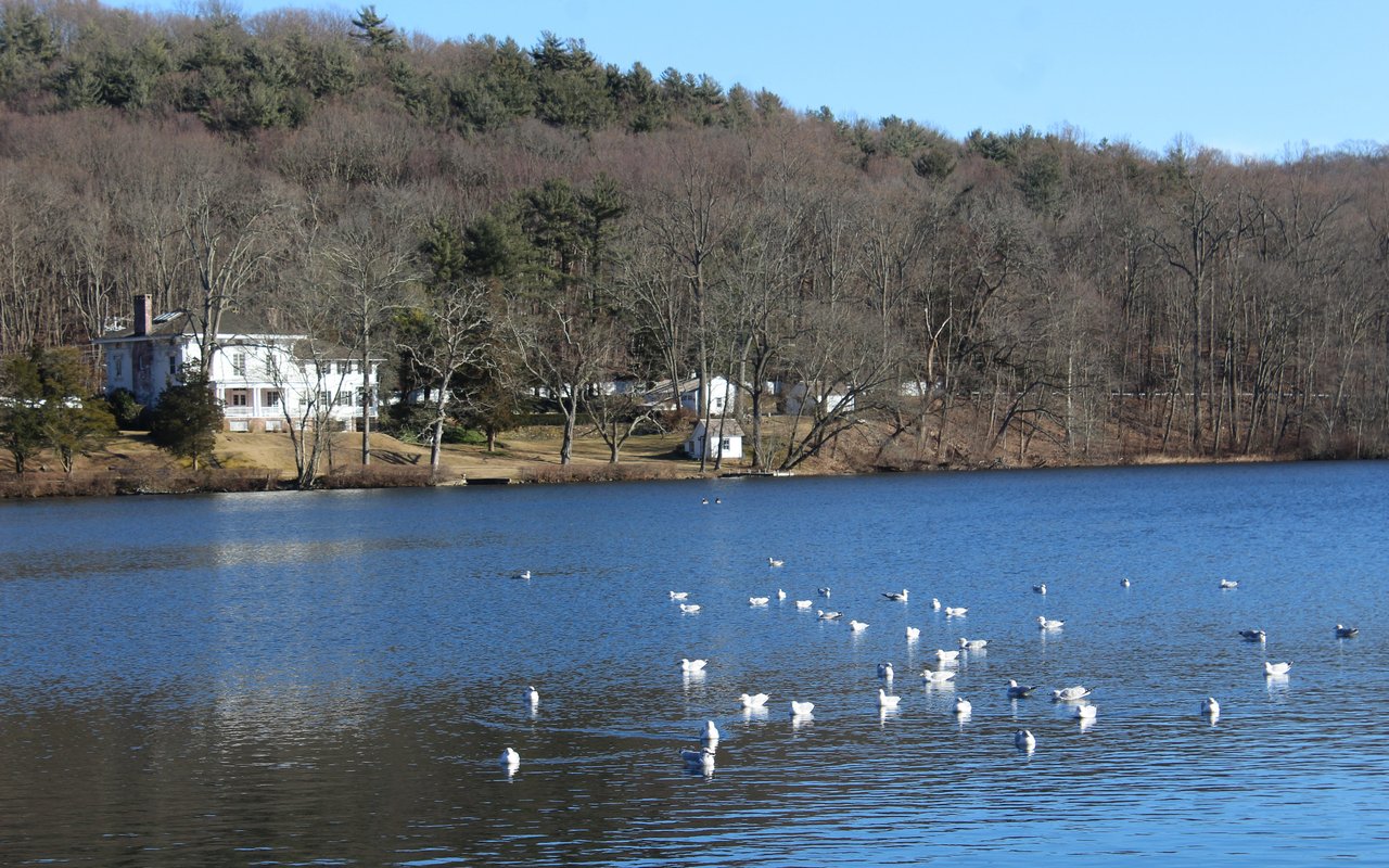 Cold Spring Harbor