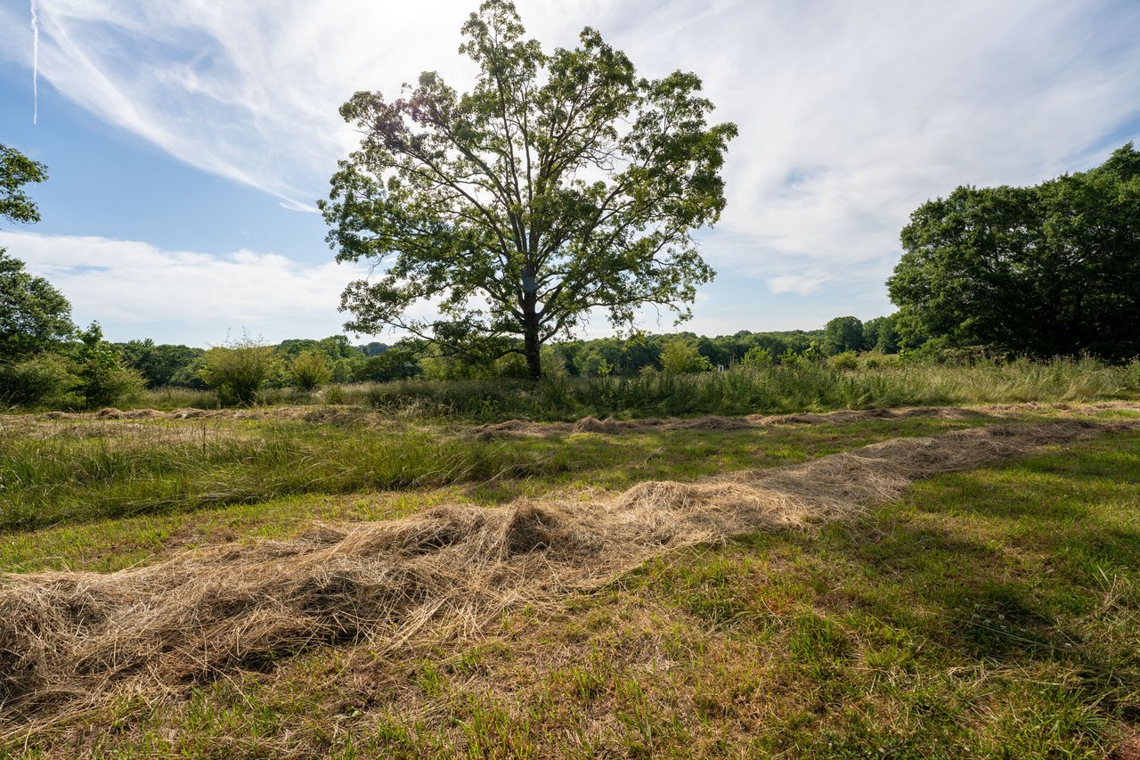 The Ranches at Sandy Creek
