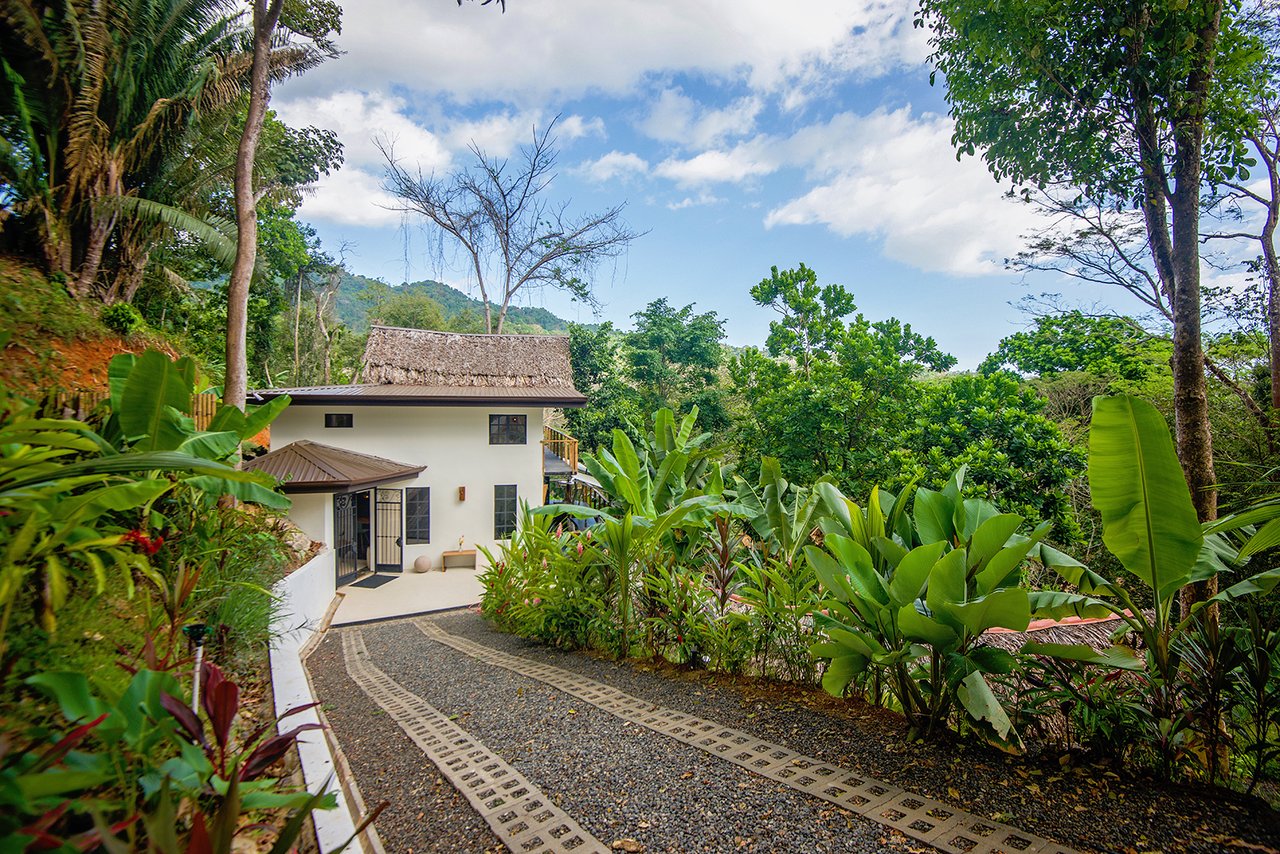 The Jungle Residence