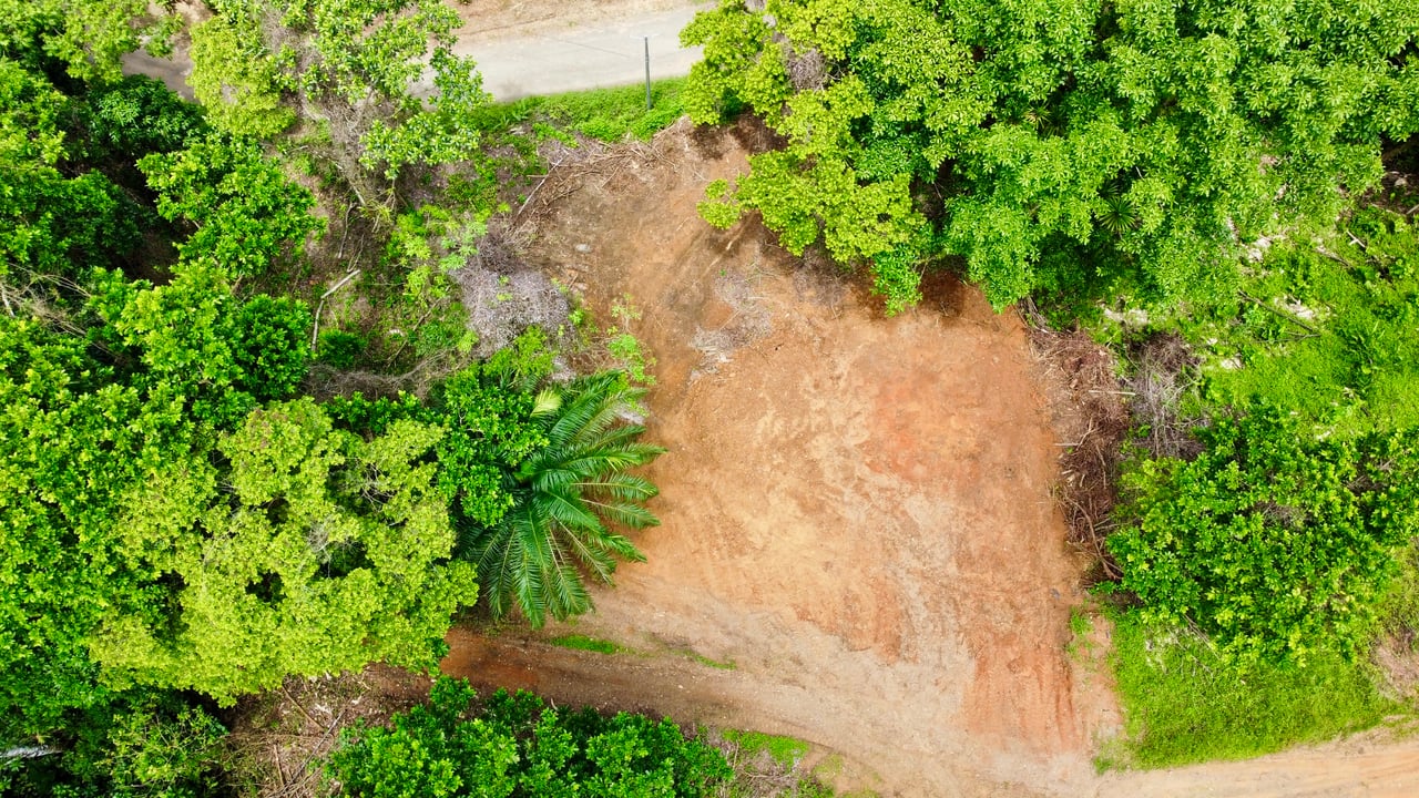 Ready-to-Build Land in San Antonio de Damas: 2,6-Acre with Terraces & Road Frontage